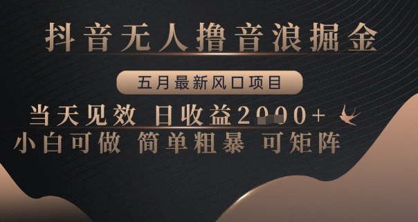 抖音无人撸音浪掘金，五月最新风口项目，当天见效，日收益多张，小白可做简单粗暴可矩阵【揭秘】-刀客资源网