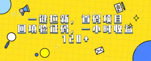 一键拉新，首码项目，回填验证码，一小时收益1张-刀客资源网