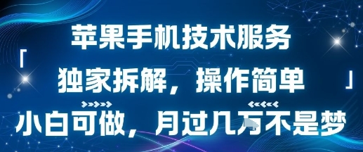 苹果手机技术服务，独家拆解，操作简单，小白可做，月过1W不是梦-刀客资源网
