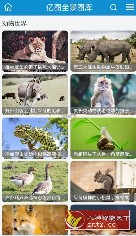 亿图 v1.2.6纯净版-刀客资源网