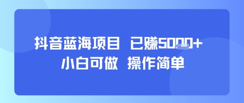 抖音蓝海项目，小白可做，操作简单，可批量制作，已挣5k+-刀客资源网