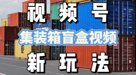 视频号新玩法，利用老外开集装箱盲盒视频，挣分成计划收益，月入过W，新手小白轻松上手-刀客资源网