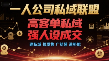 一人公司私域联盟，高客单私域，强人设成交，建私域 搞发售 广结盟 造势能-刀客资源网