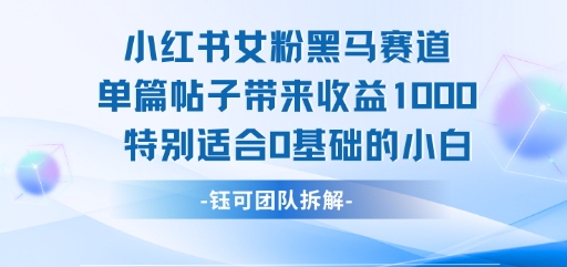 小红书女粉黑马赛道单篇帖子带来收益1k+，特别适合0基础的小白-刀客资源网