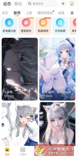 元气桌面壁纸v3.51.4311高级版-刀客资源网