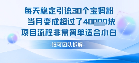 每天稳定引流30个人 当月变成超过了4个W项目流程非常简单适合小白-刀客资源网