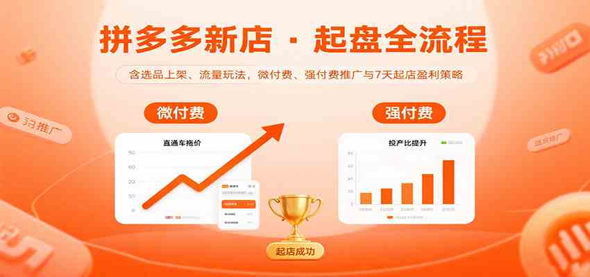 拼多多新店起盘全流程，含选品上架、流量玩法，微付费、强付费推广与7天起店盈利策略-刀客资源网