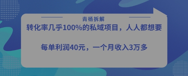 转化率最高的私域项目，每单利润40-50米，月入过1w-刀客资源网