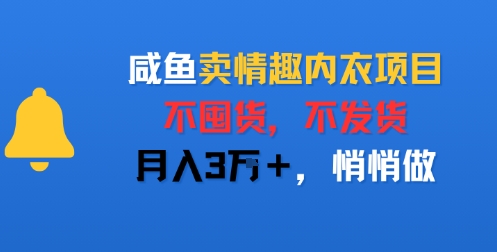 咸鱼卖情趣内衣项目，不囤货，不发货，月入3W+，悄悄做-刀客资源网