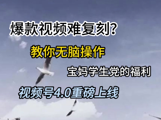 视频号4.0重磅上线，爆款视频难复刻？教你无脑操作宝妈学生党的福利【揭秘】-刀客资源网