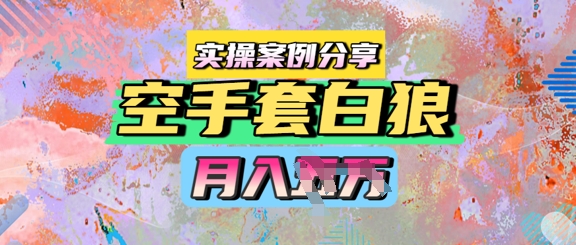 空手套白狼，月入过1W，实操案例分享-刀客资源网