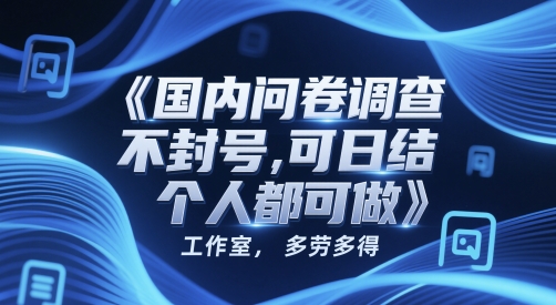国内问卷调查，不封号，可日结，多劳多得，工作室，个人都可做-刀客资源网
