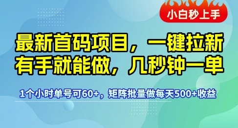 最新首码项目，一键拉新有手就能做，几秒钟一单，1个小时单号可60+，矩阵批量做每天5张【揭秘】-刀客资源网