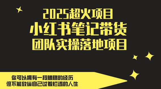 2025超火项目，副业最佳选择，小红书笔记带货团队实操落地项目，，轻松日入5张-刀客资源网
