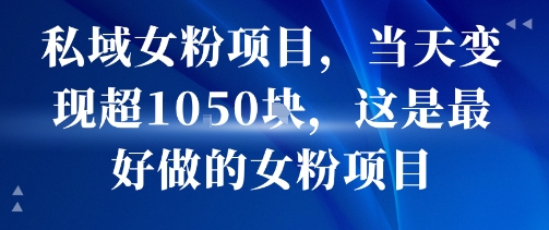 私域女粉项目，当天变现超1k，这是最好做的女粉项目，可放大操作-刀客资源网