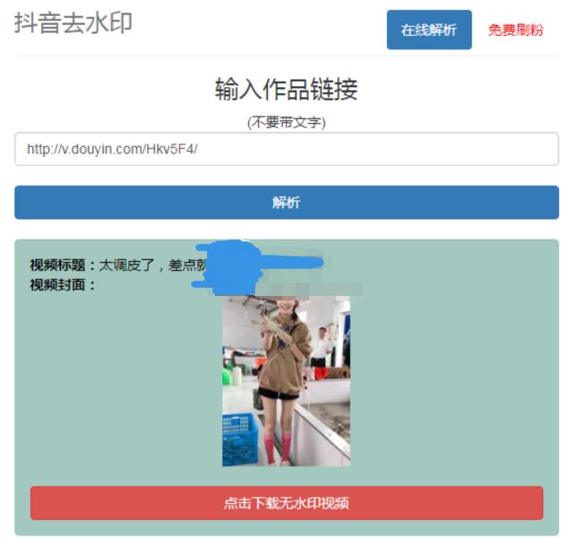 抖音在线去水印网站PHP源码-刀客资源网