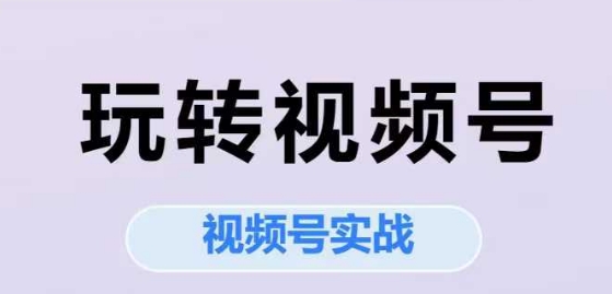 玩转视频号，视频号实战系列课-刀客资源网