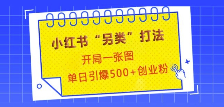 小红书“另类”打法，开局一张图，单日引爆500+精准创业粉【揭秘】-刀客资源网