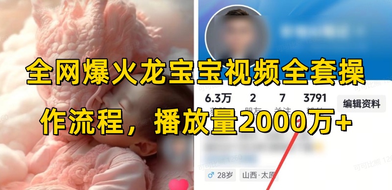 全网爆火龙宝宝视频全套操作流程，播放量2000万+-刀客资源网