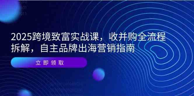 2025跨境致富实战课，收并购全流程拆解，自主品牌出海营销指南-刀客资源网