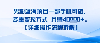 8月新男粉蓝海项目一部手机可做，多重变现方式 月入4W+【详细操作流程拆解】-刀客资源网