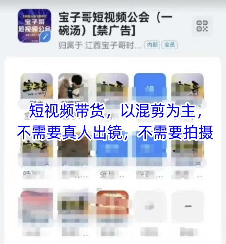 宝子哥头部团队短视频带货，以混剪为主，不需要真人出镜，不需要拍摄【更新】-刀客资源网