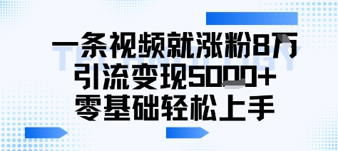 一条视频就涨粉8W引流变现5k+，0基础项目轻松上手-刀客资源网