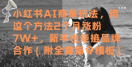 小红书AI商单玩法，用这个方法2个月涨粉7W+，新手也能接品牌合作(附全套指令模板)-刀客资源网