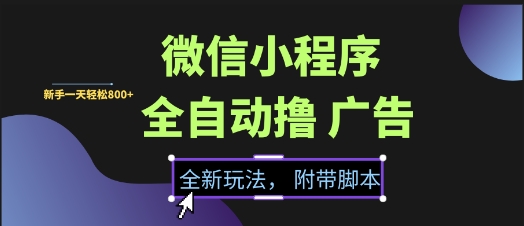 微信小程序全自动撸广告项目，彻底解决没流量的问题，新手一天8张+【揭秘】-刀客资源网