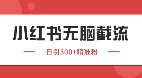 小红书截流同行客源，独家野路子获客玩法 日引200+暴力获客【揭秘】-刀客资源网