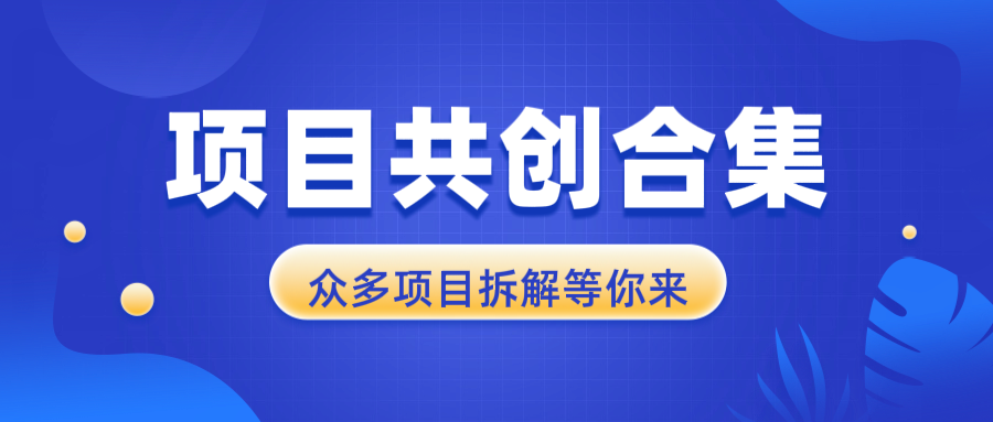 项目共创合集，从0-1全过程拆解，让你迅速找到适合自已的项目-刀客资源网