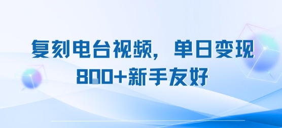 复刻电台视频，单日变现8张+新手友好，长期可做-刀客资源网