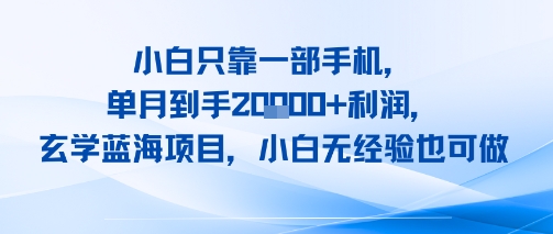 小白只靠一部手机，单月到手2W+利润，玄学蓝海项目，小白无经验也可做-刀客资源网