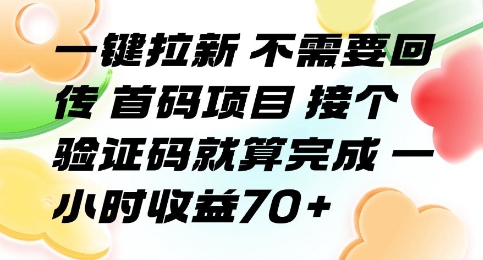 一键拉新 不需要回传 首码项目 接个验证码就算完成 一小时收益70+【揭秘】-刀客资源网