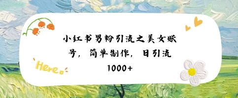 小红书男粉引流项目之美女账号6，简单制作，条条爆款原创，不违规-刀客资源网