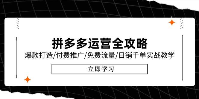（15085期）拼多多运营全攻略，爆款打造/付费推广/免费流量/日销千单实战教学/6月更新-刀客资源网