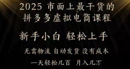 25年最干货的拼多多虚拟电商课程，小白轻松上手，月入过w只是门槛!虚拟电商，如皓月见青天-刀客资源网
