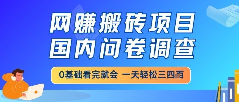 网创搬砖项目，国内问卷调查，小白轻松上手，一天三四张的也不难，干就完了【揭秘】-刀客资源网