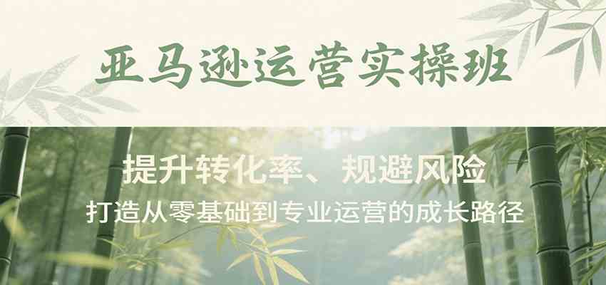亚马逊运营实操班，提升转化率、规避风险，打造从零基础到专业运营的成长路径-刀客资源网