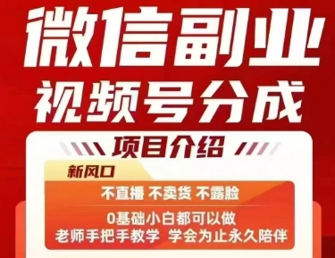 微信副业视频号分成，不直播 不卖货 不露脸，三五分钟即可完成一条作，每日收益几十、几张不等-刀客资源网