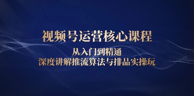 视频号运营核心课程，从入门到精通，深度讲解推流算法与排品实操玩-刀客资源网