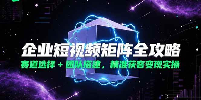 （15242期）企业短视频矩阵全攻略，赛道选择+团队搭建，精准获客变现实操-刀客资源网