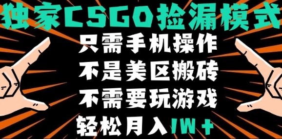 CSGO自动捡漏项目，最新独家玩法，不是美区搬砖，不需要了解和玩游戏，新手小白轻松月入1W+【揭秘】-刀客资源网