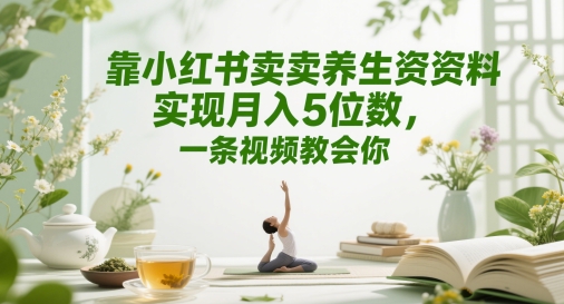 靠小红书卖养生资料实现月入5位数，一条视频教会你-刀客资源网