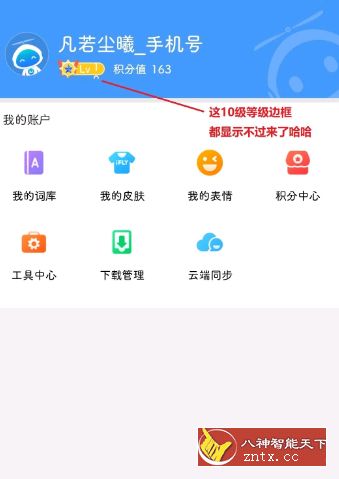 【凡若尘曦修改】讯飞输入法9.1.9466高级lv10特权／谷歌版-刀客资源网