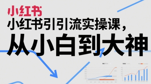 小红书引流实操课，从小白到大神-刀客资源网