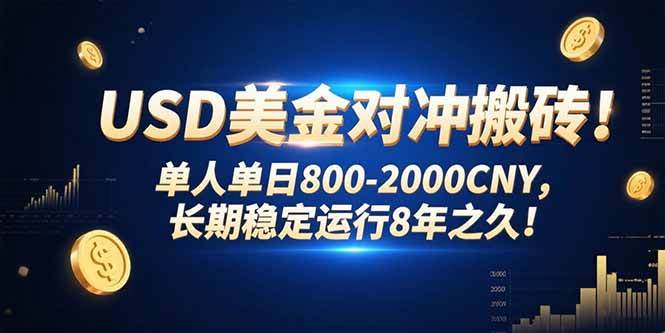 （15551期）USD美金对冲搬砖!单人单日800-2000CNY，长期稳定运行8年之久!-刀客资源网