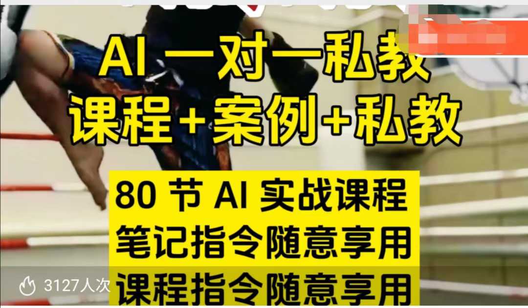 AI指令实战课，课程+案例，80节AI实战课程，笔记指令随意享用，课程指令随意享用（更新7月）-刀客资源网