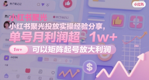 小红书聚光投放实操经验分享，单号月利润超1w+，可以矩阵起号放大利润-刀客资源网