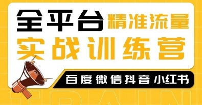 全平台精准流量实战训练营，百度微信抖音小红书SEO引流教程-刀客资源网